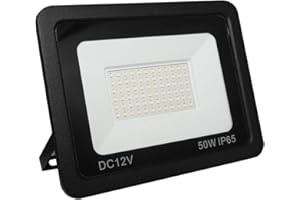 LOWENERGIE Foco LED de 12 V CC para iluminación exterior de jardín (día blanco 6000 K, 50 W)