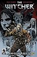 The Witcher: Bd. 1: Im Glashaus
