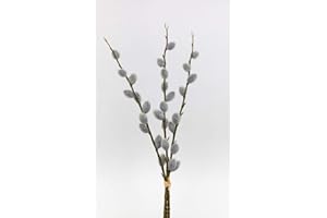 Seidenblumen Roß 3er-Bund Weidenkätzchen Nature 46cm FT künstlicher Weidenkätzchenzweig Salix Palmkätzchen