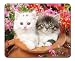 Produktbild Katzen und Blumen Mauspad, Gaming Maus Pad (25,9 x 20,8 cm)