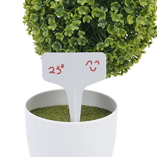 BALFER Plastik Pflanzenstecker Stecketiketten zum Beschriften Pflanzschilder Schilder für Kräuter Gemüse Holz Garten 6*10 CM (Weiß, 50 X “T” Form & 100 X “1” Form Stk) - 6