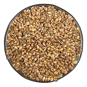 The LINE Bird Green Millet Natural & Healthy Seed for Small & Medium Bird Food by P's. (450 GM)