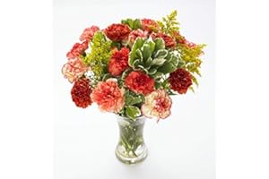 SENDABUNCH Novelty Carnation Bouquet with Our 14 Day Freshness Guarantee.
