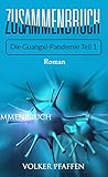 Cover zum Buch Zusammenbruch: Die Guangxi-Pandemie