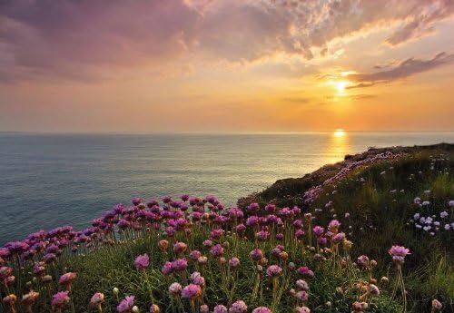 Lands End Photo Wallpaper Size: 368 x 254 CM 8–Piece