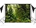 Produktbild CapiSco Fotohintergrund Fotografie Stoffhintergrund Stoff Hintergrund Fotostudio Dschungel unberührter Wald 2,1 * 1,5m TG04