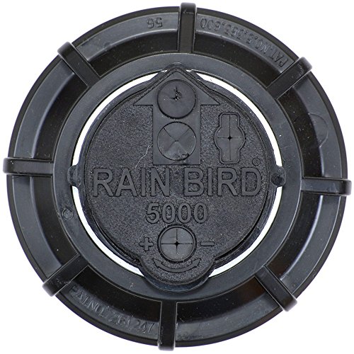 Rain Bird 5004-PC 3.0 Versenkregner / Rasensprenger 3/4″ – PROFESSIONELLE GARTENBEWÄSSERUNG - 3