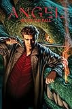 Angel: After the Fall Volume 1 TPB by 