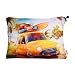 Air Pillow With Cover And Special Pocket(20"x14"inc) RS.349.00