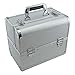 Produktbild SRA Cases EN-AC-FC-B082-SL Make-Up, Cosmetic, Vanity Case with Fold Out Trays, 12.2 x 10.6 x 8.3, Silver by SRA Cases