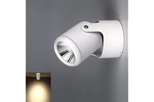 DINGLILIGHTING Modern Single Ceiling/Wall Spotlight Eye-Care 180° Adjustable 7W Indoor Spot Lights Warm White Surface Mounted Downlight for Picture Display Home Hotel Shop Decoration