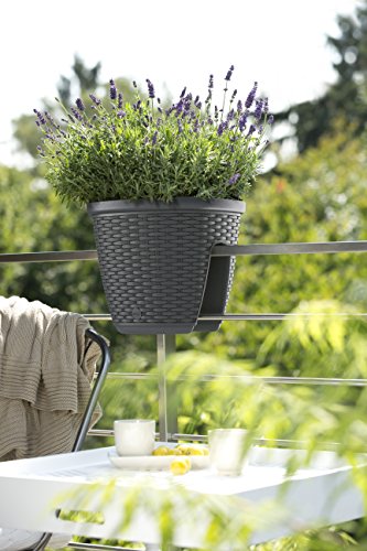 Emsa 515013 Geländertopf für den Balkon, 9 Liter, Selbstbewässerungssystem, Granit, Casa Mesh - 2