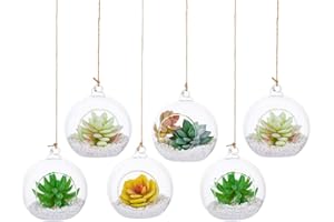 GLASSEAM Plantas Colgantes de Aire 6 Piezas Portavelas de 4 Inches Cristal Terrario Portavelas Contenedores de Plantas de Vidrio para el Diseño de Bricolaje de Jardín de Bodas en Casa