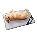 Produktbild Haustier Kühlung Schlafmatte, Hund Katzen Welpen Kühlung Kissen Kalt Bett Bambus Matte Eis Schlafmatte Wärme Dissipation Pad für Sommer & Winter