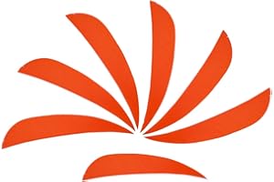 ZSHJGJR ZSHJG 50 Stück Bogenschießen Naturfedern Pfeilfedern 3 Zoll Feder für Pfeil Fletching Pfeil Befiederung Rechter Flügel Pfeil Vane für Jagd DIY Pfeile Carbonpfeile Zubehör