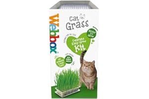 Webbox Cat Grass Kit 120g