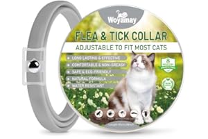 Woyamay Collier Chat Anti Puces et Tiques, Collier Anti Puces pour Chat Réglable, Naturel Protection Efficace 8 Mois, Résistant à l'eau Collier Anti Tique Chat pour Chatons Moyens et Grands, Gris