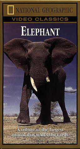Preisvergleich Produktbild Elephant [VHS]