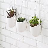 Dimensiones (en pulgadas): 4.25 x 12,5 x 3,75 D.