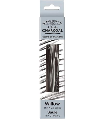 Winsor & Newton Lot De 24 Bâtons De Fusain Fin - Fusains Saule Pour Dessin Artistique