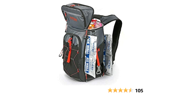backpack cooler costco