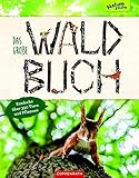 Das große Waldbuch: Entdecke über 350 Tiere und Pflanzen (Nature Zoom) by 