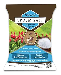 Shehri Kisaan Epsom Salt Magnesium Sulfate for Plants - 500 Gram | Promotes Chlorophyll Production & Lush Green Leaves | Speeds Up Seed Germination, Flowering in Plants, Growth of Vegetables & Trees