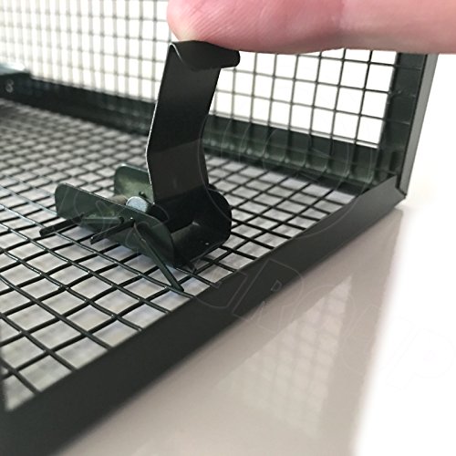 ASC – Rattenfalle Metall Ratte Traumfänger – menschlichen ohne Killing – wiederverwendbar anti-parasites Falle - 7