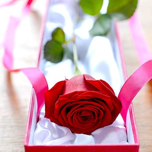 Luxury Single Red Rose Box Gift - Fresh Flowers &amp; FREE CHOCOLATES