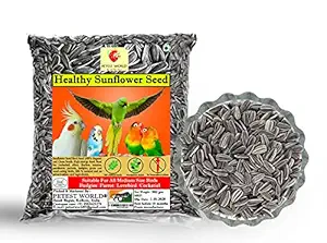 Premium Small Size Sunflower Seeds Birds Food for Parrot, Alexander Parrots, Lovebirds, Cockatiels, Sun Conure, Budgies, Java-450gm