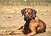 Ridgebacks - Hunde aus Afrika (Wandkalender 2018 DIN A3 quer): Faszination Rhodesian Ridgeback - ein Portrait dieser tollen Rasse (Monatskalender, 14 ... [Kalender] [Apr 01, 2017] Bodsch, Birgit by 