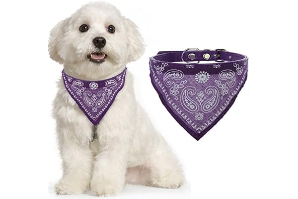 Adjustable Scarf Cum Bandana Cum Neckerchief Collar for Puppy/Cat/Kitten (Purple)