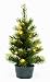 Produktbild Forever Green 971131 Künstlicher Tannenbaum, Plastik, grün, 26 x 26 x 45 cm