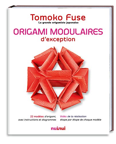 couverture de : Origami modulaires d'exception