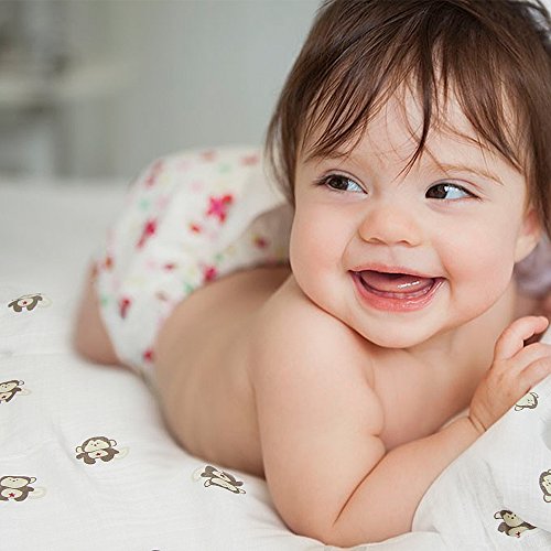 InnooBaby Pucktücher aus Musselin 4er-Pack Weiche und kuschelige Puckdecken für Schreibabys | 120 x 120 cm große Babydecken | 100% Baumwolle | Unisex Musselin und farbenfrohe Drucke - 2