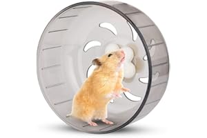 YOUTHINK Kołowrotek dla chomika, 13 cm, małe koło do ćwiczeń dla zwierząt domowych, ciche, plastikowe zabawki wyścigowe dla chomika, myszoskoczka, świnki morskiej
