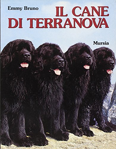 Il cane Terranova Il cane Terranova