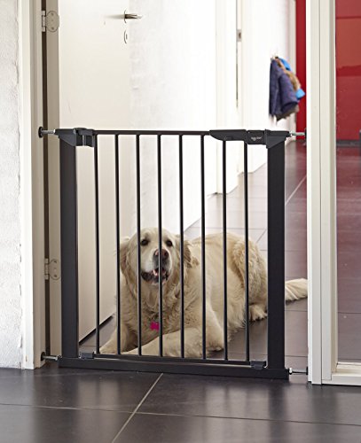 Scandinavian-Pet-Design-60116-92690-02--1985-Premier-Dog-Barrier-Fencing-MeshBlack