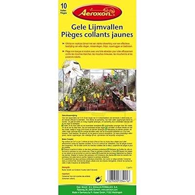 Aeroxon PIEGES Jaunes COLLANTS POUR MOUCHES DES PLANTES 25 cm X 10 contre les Mouches et pucerons