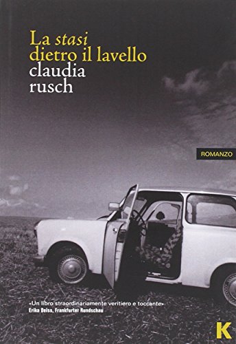 La stasi dietro il lavello