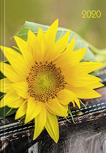 Lady-Timer Sonnenblume 2020: Buchkalender - Terminplaner. 1 Woche 4 Seiten. Format: 11 x 15,3 cm