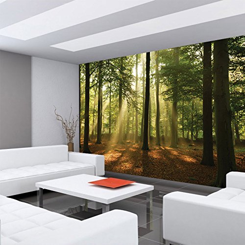 Vlies Fototapete 416x254cm PREMIUM PLUS Wand Foto Tapete Wand Bild Vliestapete – Wald Tapete Laubbaum Laubwald Sonne Sonnenstrahlen bunt – no. 3287 - 6