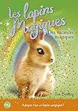2. Les lapins magiques : Des vacances magiques (2)