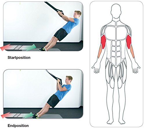 eaglefit® Sling Trainer PROFESSIONAL – Schlingentrainer, Functional Training – Modell 2017 - 3