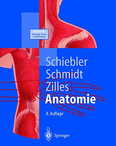 Preisvergleich Produktbild Anatomie: Zytologie, Histologie, Entwicklungsgeschichte, makroskopische und mikroskopische Anatomie des Menschen (Springer-Lehrbuch)