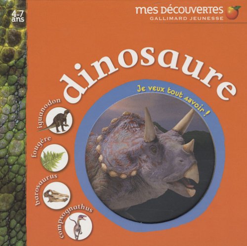 couverture de : Dinosaure