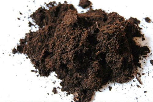 Weißtorf ungedüngt naturbelassen 40 Liter