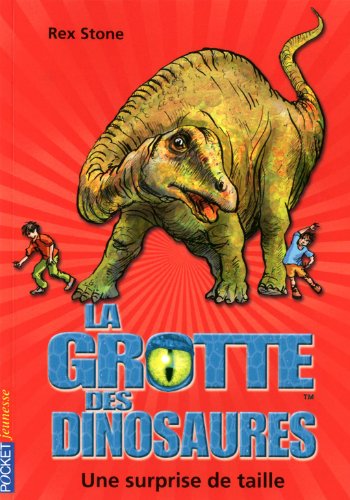 couverture de : Une surprise de taille