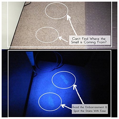 Schwarzlichtlampe Morpilot 12 LED UV Taschenlampe Schwarzlicht für eingetrocknete Flecken Ihrer Hunde, Katzen und Nagetiere auf Teppichen, Vorhänge , Gardinen, Möbel und anderen Stoffen ,sogar für Nagel trocken (Batterien nicht im Paket) [Energieklasse A+++] - 6