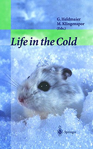 Life in the Cold gratuit Life in the Cold gratuit